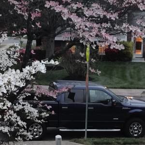 Meet your Posher, Thurman